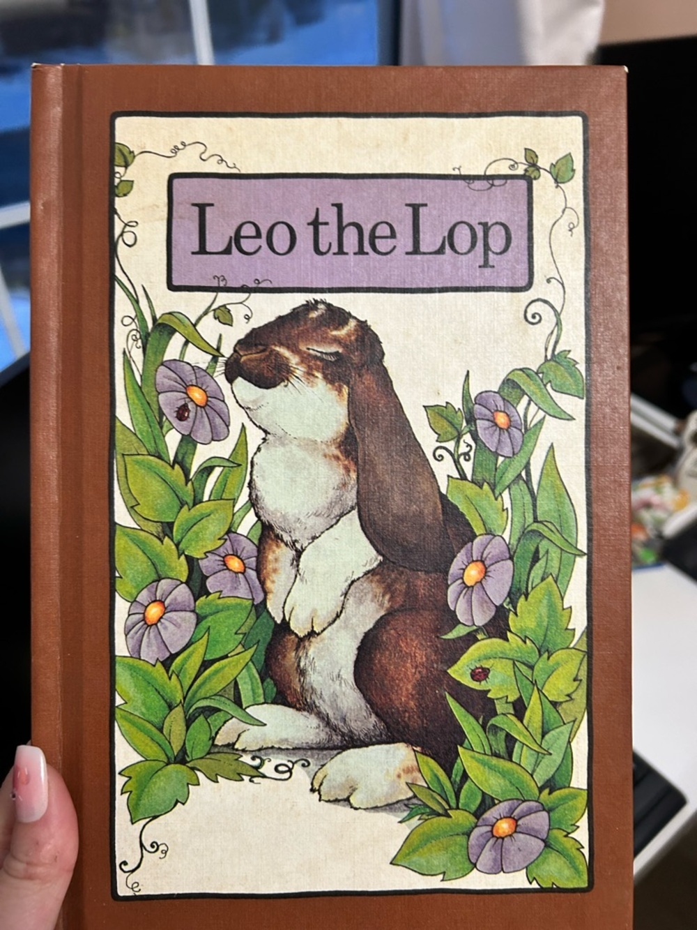 🔥$2 Leo the Lop Illustrated Hardcover - Purple & Brown Bunny Cover book